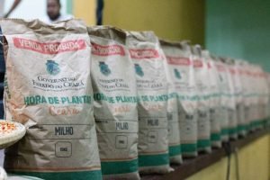 Distribuição do Hora de Plantar inicia em quatro regiões e segue até 31 de janeiro