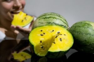 Pessoa segura melancia amarela em Aracati com polpa diferenciada Título da imagem: Produção de melancia amarela em Aracati