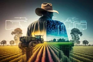 Durante o FestBerro 2024, o setor agropecuário do Ceará terá uma grande oportunidade de movimentar negócios e fomentar parcerias estratégicas. As Rodadas de Negócios, que acontecem nos dias 19 e 20 de novembro, prometem reunir mais de 300 criadores, compradores e investidores de todo o Nordeste.