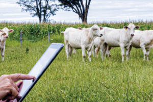 Expoece 2024: Tradição, Inovação e Negócios no Agronegócio Cearense