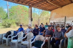 Sistema Faec/Senar promove Dia de Campo em Orós sobre capim BRS Kurumi