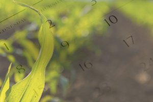 CNA Apresenta agenda legislativa do agro para 2024, com 8 pontos considerados estratégicos