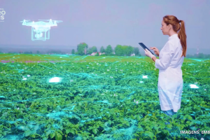 Arbolina na agricultura é nanotecnologia que aumenta vigor e produtividade no semiárido.