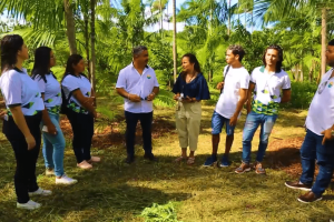 Açaí no Ceará avança com cultivar adaptado, assistência técnica e produção de mudas para ampliar resultados no campo.