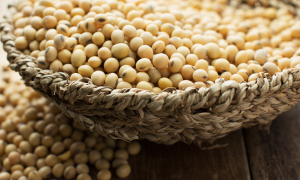 É o Momento Certo para Fixar o Dólar?