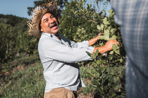Agricultores brasileiros celebram acordo com a UE, mas destacam preocupação com o protecionismo