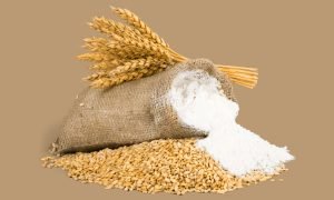 Safra recorde e estoques de farelo: os desafios da soja brasileira