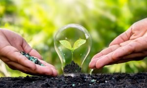 Preservação do Solo: Uma Estratégia Essencial para Fertilização Sustentável