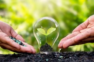 Preservação do Solo: Uma Estratégia Essencial para Fertilização Sustentável