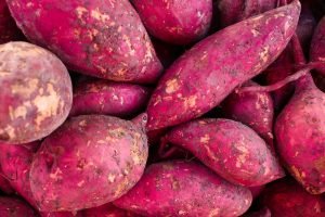 Batata-Doce de Presidente Prudente Rumo à Indicação Geográfica
