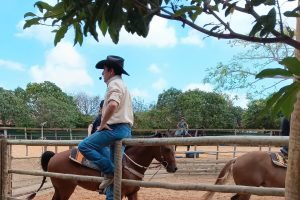 Café com Cavalo promove ranch sorting e fortalece esportes equestres no Ceará