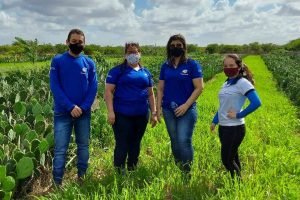 Resultado final do Programa Agente Rural reforça assistência técnica e extensão no campo.