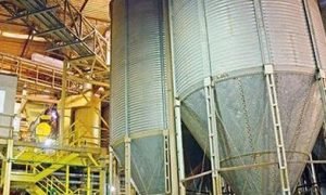 Cristiano Maia dobra produção da Samaria Rações e reforça o papel do EPROCE no fortalecimento do agro cearense