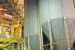 Cristiano Maia na fábrica da Samaria Rações em Fortaleza, que dobra a produção com novos investimentos