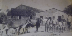 casas do sertao: historia