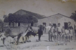 casas do sertao: historia