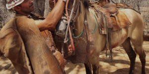 Civilização do Couro: 