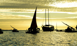 Setor pesqueiro do Ceará recebe 500 Autorizações de Pesca para lagosteiros.