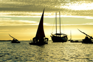 Setor pesqueiro do Ceará recebe 500 Autorizações de Pesca para lagosteiros.