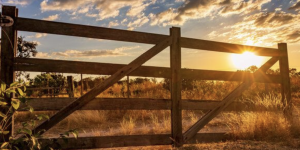 Coluna Bastidores do Agro