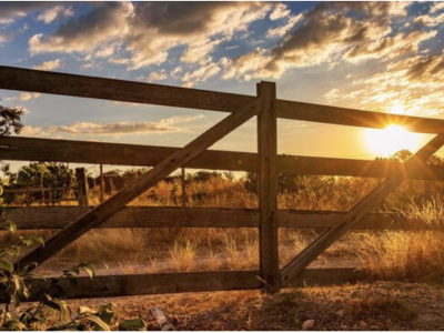 Coluna Bastidores do Agro