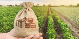 Fiagro no Brasil: expansão do crédito e inovação no agro