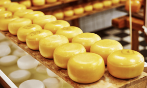 Inscrições abertas para o Prêmio CNA Brasil Artesanal 2025 – Queijos
