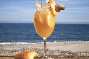 Campeonato Caju Drinks 2025 promove criatividade e sustentabilidade na mixologia com caju durante a PEC Nordeste