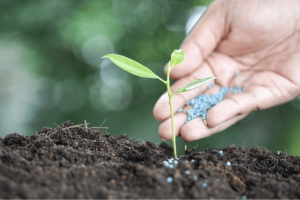 Agro em Análise: alta de fertilizantes, a geopolítica, a Fafen-BA e o custo da próxima safra
