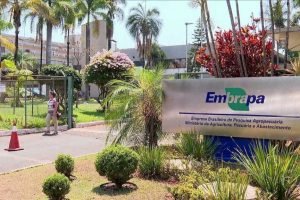 Embrapa apresenta novas tecnologias e soluções de inovação agrícola em Barbalha