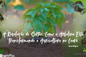 aplicação de tecnologia sustentável no agro.