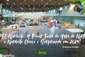 Feira PEC Nordeste com mais de mil estandes em 2025