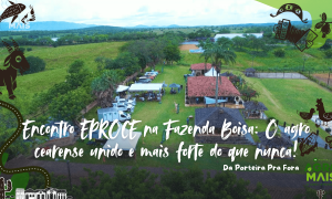  Encontro de mais de 250 produtores na Fazenda Boísa, com foco em inovação e cooperação.
