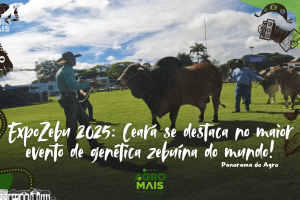 Ceará apresenta ações inovadoras com foco na genética zebuína