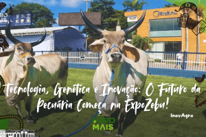 produtor observa gado zebuíno com drone ao fundo