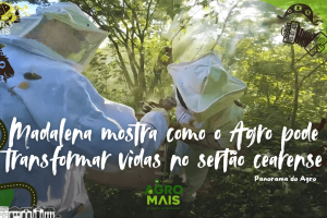 Vista de projeto de desenvolvimento rural com viveiro de mudas em Madalena