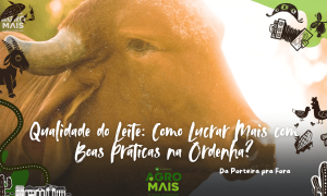 A qualidade do leite começa na rotina e manejo da ordenha