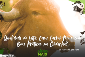 Produtor analisando a qualidade do leite durante a ordenha com boas práticas