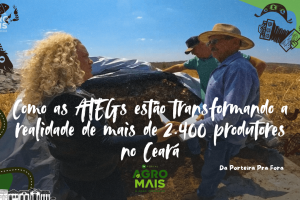 Técnico orienta produtor rural durante visita técnica das ATEGs