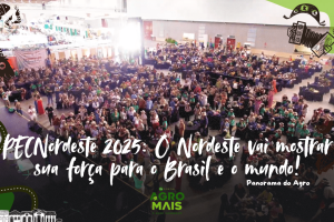 Expositores e visitantes na PEC Nordeste 2025 em Fortaleza