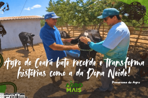 Setor agropecuário do Ceará impulsiona economia e transforma realidades
