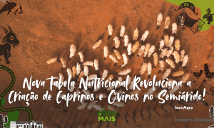 Cientistas apresentam novo sistema nutricional para caprinos e ovinos do semiárido