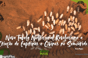 tabela BR Caprinos e Ovinos aplicada à criação no semiárido