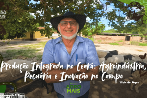 Propriedade rural com criação de animais e cultivo de moringa