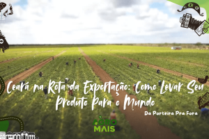 Frutas cearenses sendo preparadas para exportação