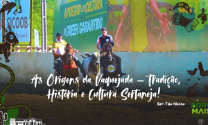 A vaquejada é uma das tradições mais emblemáticas do sertão nordestino.