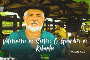Veterinário realiza ultrassonografia em vacas leiteiras no sertão
