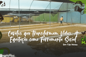 Colheita artesanal de café cearense no Baturité