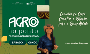 Produtor aplica manejo eficiente para superar a sazonalidade do camarão