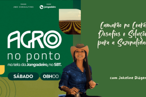Fazendeiro monitorando viveiro para enfrentar a sazonalidade do camarão